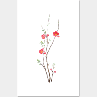 red winter plum watercolor flowers Posters and Art